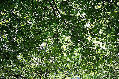 真人互动影游《监寓》Steam页面 年内发售