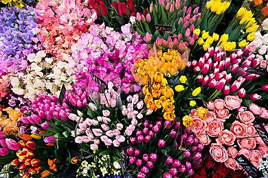 《生化危机4》首席设计师：路易斯是根据阿拉贡设计